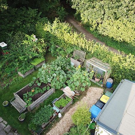 Ruhige Ferienwohnung „Suedhang“ Direkt Am Wald Bad Arolsen Extérieur photo