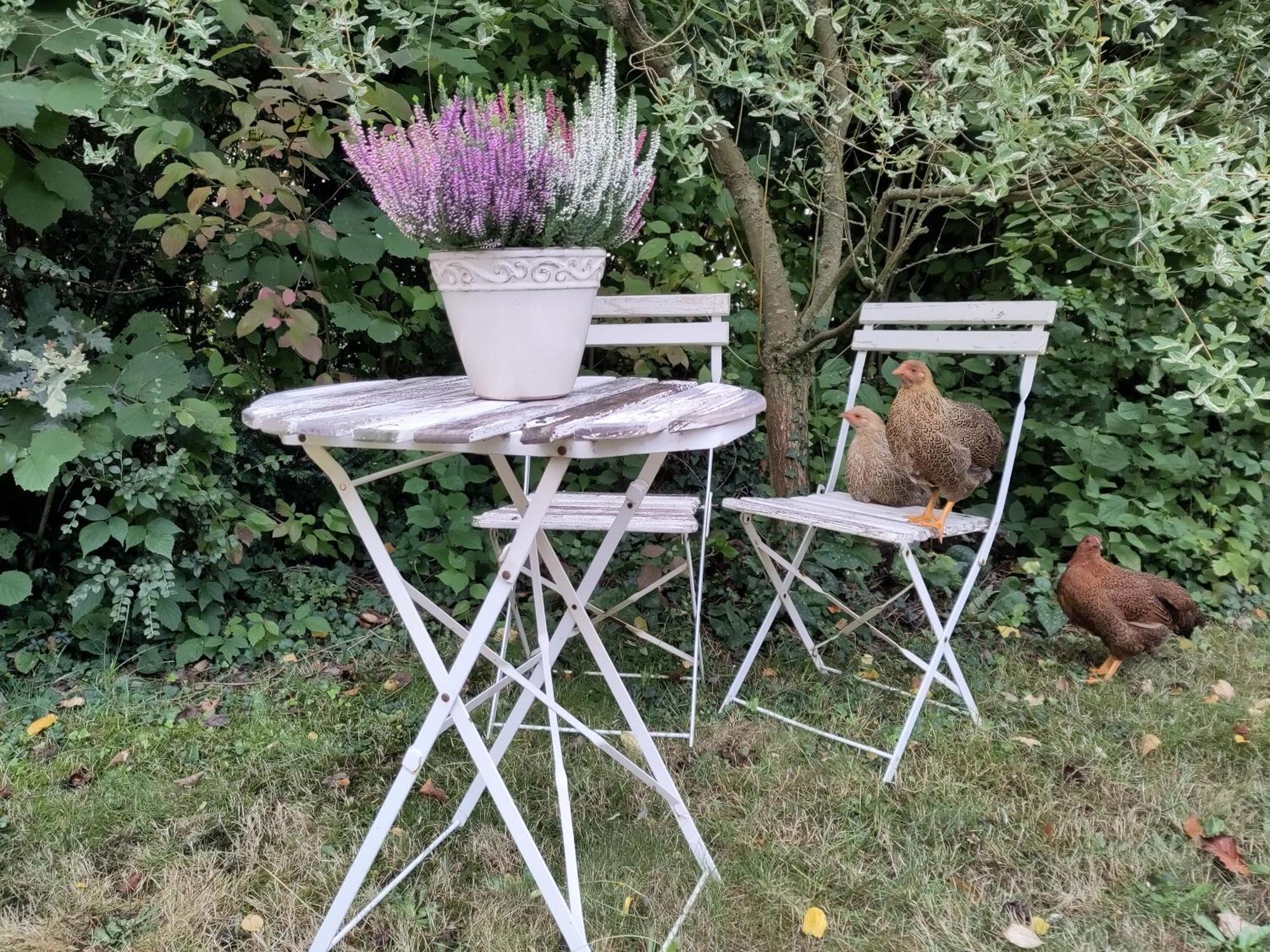 Ruhige Ferienwohnung „Suedhang“ Direkt Am Wald Bad Arolsen Extérieur photo
