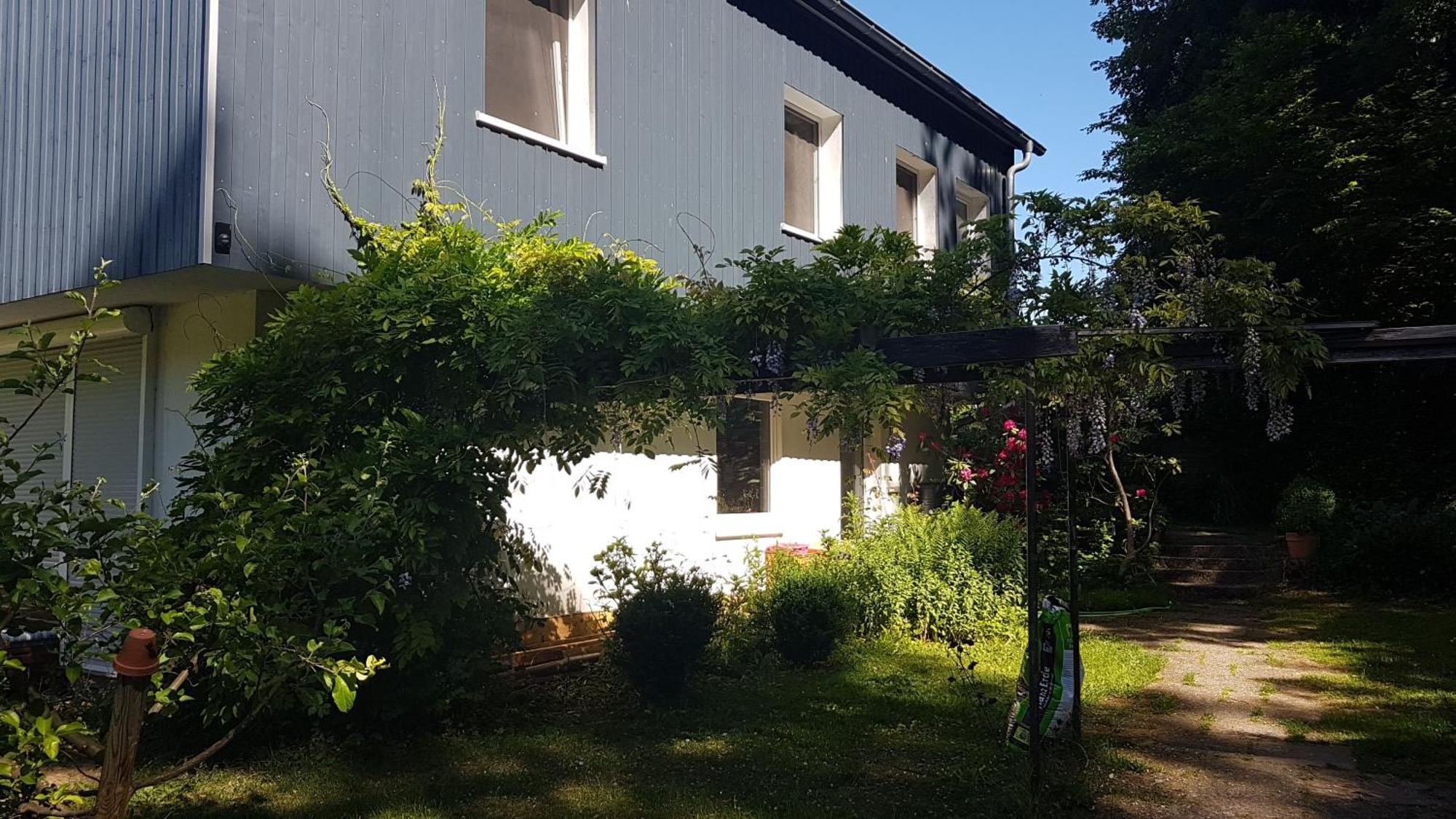 Ruhige Ferienwohnung „Suedhang“ Direkt Am Wald Bad Arolsen Extérieur photo