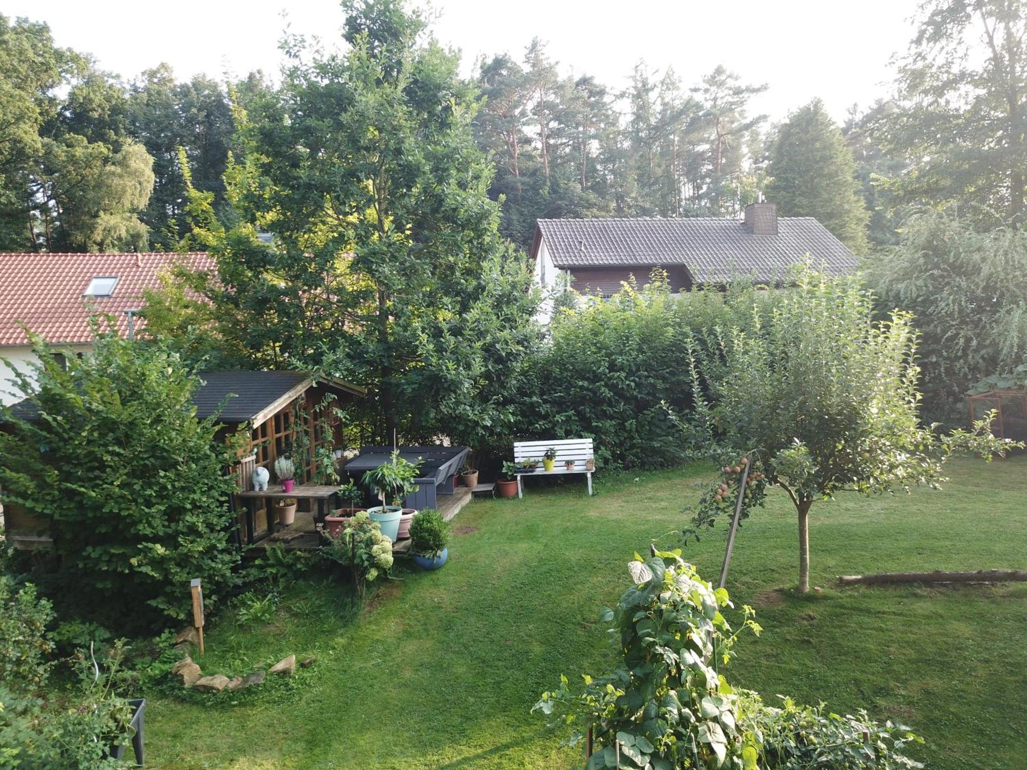 Ruhige Ferienwohnung „Suedhang“ Direkt Am Wald Bad Arolsen Extérieur photo