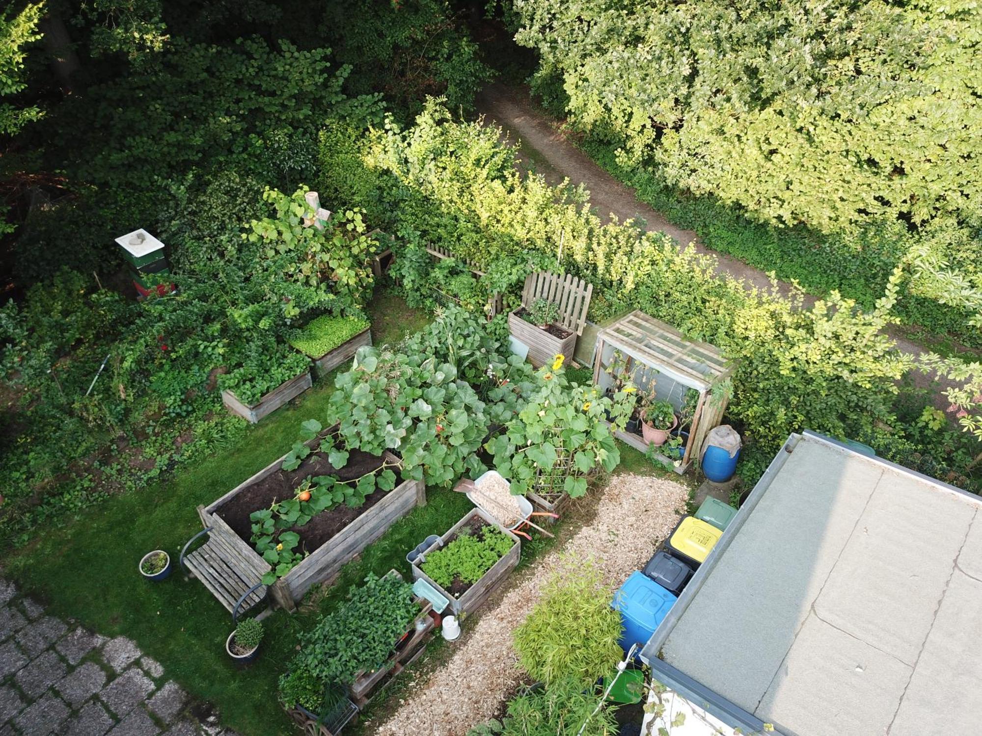 Ruhige Ferienwohnung „Suedhang“ Direkt Am Wald Bad Arolsen Extérieur photo